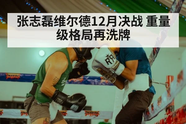 张志磊维尔德12月决战 重量级格局再洗牌